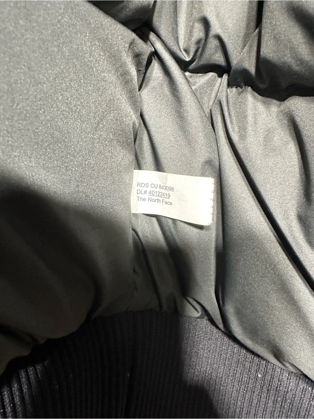 NWOT The North Face Gotham 3 parka